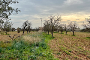 Dom na sprzedaż 90m2 - zdjęcie 3