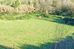 Działka na sprzedaż Dystrykt Lizboński Arruda dos Vinhos - zdjęcie 1