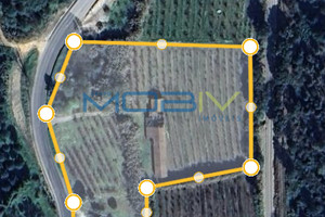 Dom na sprzedaż 172m2 Leiria Bombarral - zdjęcie 1