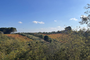 Dom na sprzedaż 237m2 strada giglio - zdjęcie 2