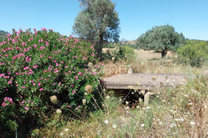 Działka na sprzedaż Faro Silves - zdjęcie 3