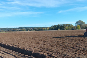 Działka na sprzedaż Langwedocja-Roussillon Aude - zdjęcie 2