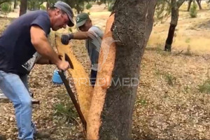 Działka na sprzedaż Faro Silves São Marcos da Serra - zdjęcie 3