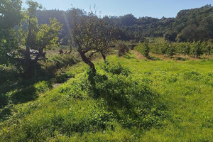 Działka na sprzedaż 4289m2 Rua das Eiras - zdjęcie 2