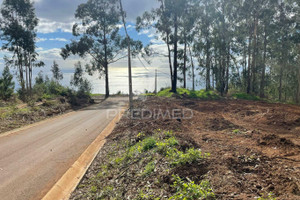 Działka na sprzedaż Madera Câmara de Lobos Quinta Grande - zdjęcie 2