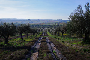 Dom na sprzedaż 187m2 Evora Reguengos de Monsaraz - zdjęcie 2