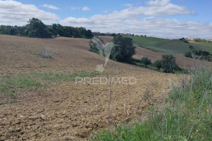 Działka na sprzedaż Santarm Santarm São Vicente do Paul e Vale de Figueira - zdjęcie 3