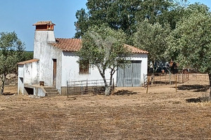 Działka na sprzedaż Portalegre Crato Crato e Mártires, Flor da Rosa e Vale do Peso - zdjęcie 2