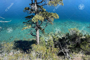 Działka na sprzedaż Villa Lago Gutiérrez - zdjęcie 3