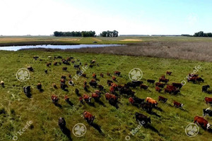 Działka na sprzedaż San Carlos de Bolívar - zdjęcie 3