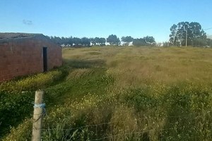 Działka na sprzedaż Castelo Branco Castelo Branco - zdjęcie 2