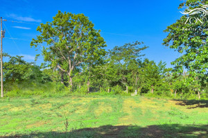 Działka na sprzedaż 15045m2 Montezuma - zdjęcie 3