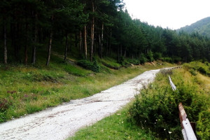 Działka na sprzedaż гр. Велинград/gr. Velingrad - zdjęcie 2