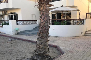 Dom na sprzedaż 130m2 Hurghada Hurghada - zdjęcie 2