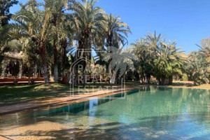 Dom na sprzedaż 10000m2 Marrakesz-Tansift-Al-Hauz Marrakech Ennakhil-(Palmeraie) - zdjęcie 3