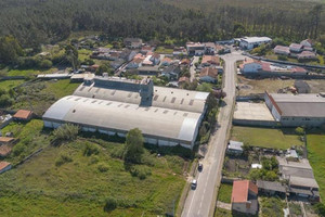 Komercyjne na sprzedaż 4000m2 - zdjęcie 3