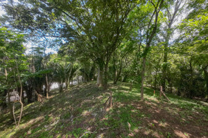 Działka na sprzedaż 2490m2 X85J+P9G, Guanacaste Province, Nosara, Costa Rica - zdjęcie 3