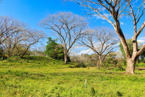 Działka na sprzedaż 1760m2 X86V+62, Guanacaste Province, Nosara, Costa Rica - zdjęcie 3