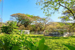 Działka na sprzedaż X86V+62, Guanacaste Province, Nosara, Costa Rica - zdjęcie 1