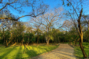 Działka na sprzedaż X86V+H9V, Del Mar Pathway, Provincia de Guanacaste, Nosara, Costa Rica - zdjęcie 1