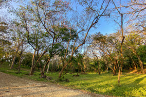 Działka na sprzedaż X86V+H9V, Del Mar Pathway, Provincia de Guanacaste, Nosara, Costa Rica - zdjęcie 2