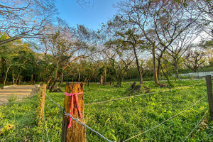 Działka na sprzedaż X86V+H9V, Del Mar Pathway, Provincia de Guanacaste, Nosara, Costa Rica - zdjęcie 3