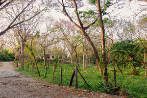 Działka na sprzedaż X86V+H9V, Del Mar Pathway, Provincia de Guanacaste, Nosara, Costa Rica - zdjęcie 2