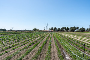 Dom na sprzedaż 163m2 - zdjęcie 2