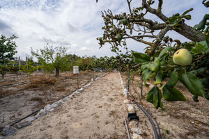 Dom na sprzedaż 252m2 Setbal Alcochete - zdjęcie 2