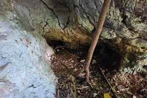 Działka na sprzedaż Las Terrenas - zdjęcie 2