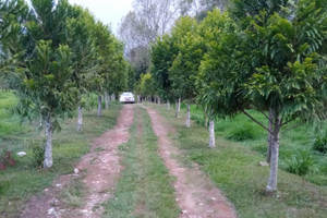 Działka na sprzedaż 3J43+42, La Ceja, Antioquia, Colombia - zdjęcie 4