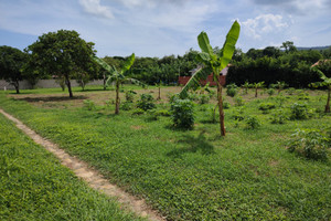 Działka na sprzedaż Vía Bajo de la Habana, Tubará, Atlántico, Colombia - zdjęcie 2