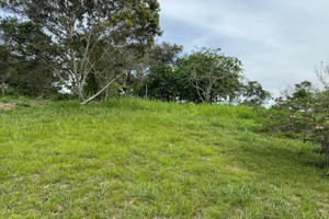 Działka na sprzedaż Dagua, Valle del Cauca, Colombia - zdjęcie 2