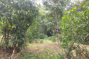 Działka na sprzedaż La Mesa, Cundinamarca, Colombia - zdjęcie 2