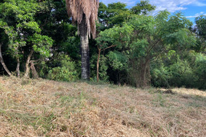 Działka na sprzedaż Anapoima, Cundinamarca, Colombia - zdjęcie 2