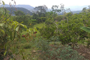 Dom na sprzedaż 170m2 La Mesa, Cundinamarca, Colombia - zdjęcie 2