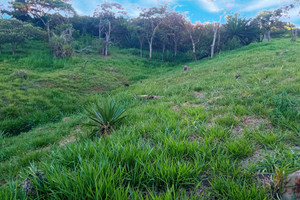 Działka na sprzedaż Yumbo, Valle del Cauca, Colombia - zdjęcie 2