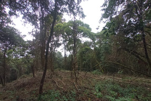 Działka na sprzedaż Calle del Viento, Dapa, Yumbo, Valle del Cauca, Colombia - zdjęcie 2