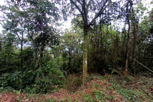 Działka na sprzedaż Calle del Viento, Dapa, Yumbo, Valle del Cauca, Colombia - zdjęcie 1