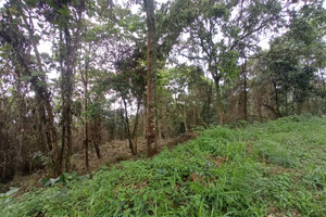 Działka na sprzedaż Calle del Viento, Dapa, Yumbo, Valle del Cauca, Colombia - zdjęcie 3