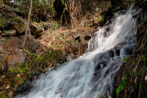 Działka na sprzedaż Yumbo-Dapa, Yumbo, Valle del Cauca, Colombia - zdjęcie 3