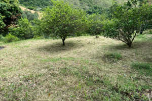 Działka na sprzedaż Santa Inés, Yumbo, Valle del Cauca, Colombia - zdjęcie 3