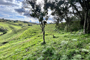 Działka na sprzedaż Vía #Kilómetro 7, Marinilla, El Peñol, Marinilla, Antioquia, Colombia - zdjęcie 1