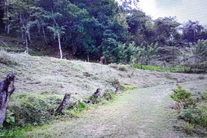 Działka na sprzedaż La Pintada, Antioquia, Colombia - zdjęcie 1