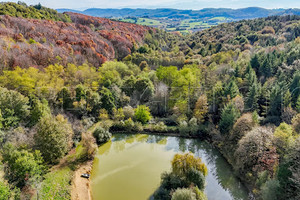 Dom na sprzedaż 525m2 - zdjęcie 1