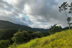 Działka na sprzedaż 85438m2 VMH8+XJ5, Provincia de Guanacaste, Bejuco, Col del Valle, Costa Rica - zdjęcie 3