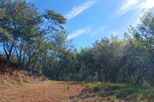 Działka na sprzedaż 15344m2 Ruta Nacional Secundaria  - zdjęcie 2