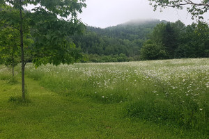 Działka na sprzedaż Ch. du Grand-Platin, Nouvelle, QC G0C2G0, CA - zdjęcie 2