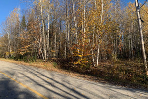 Działka na sprzedaż Mtée des Pins-Rouges, Mont-Laurier, QC J9L3G5, CA - zdjęcie 3