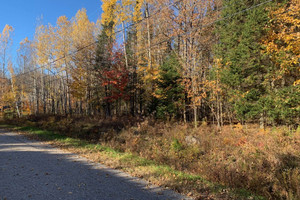 Działka na sprzedaż Mtée des Pins-Rouges, Mont-Laurier, QC J9L3G5, CA - zdjęcie 2